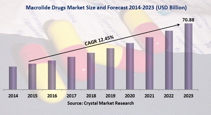 Macrolide Drugs Market