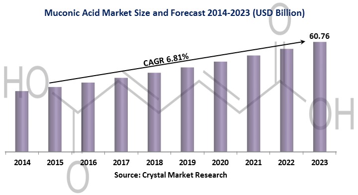 Muconic Acid Market