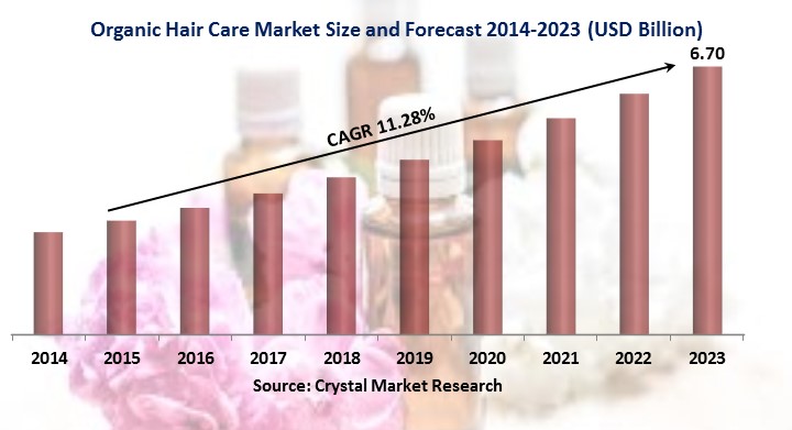  Organic Hair Care Market